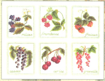 Six Berries Kit