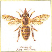 Bee Kit