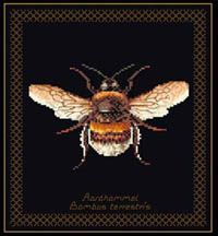 Bee Kit