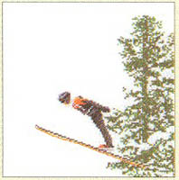 Ski Jumping Kit