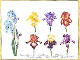 Iris Assortment Kit