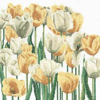 Tulips Kit