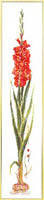 Red Gladiola Kit