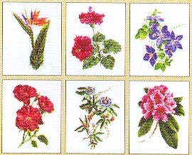 Flowers #4 Kit