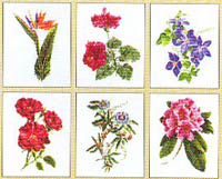 Flowers #4 Kit