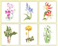 Six Florals Kit