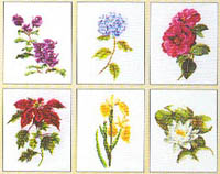 Flowers II  Kit