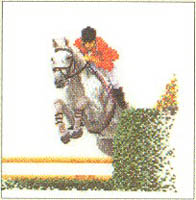 Show Jumping Kit