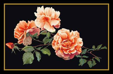 Orange Roses Kit