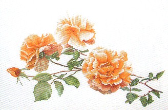 Orange Roses Kit