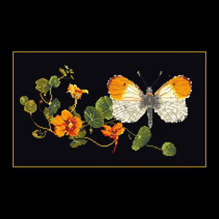 Orange Tip Butterfly Kit