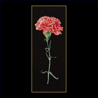 Red Carnation on Black Kit