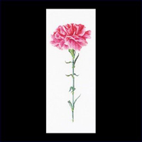 Pink Carnation Kit