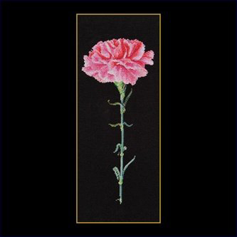 Pink Carnation on Black Kit