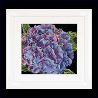 Hydrangea Kit