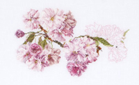 Prunus Kit