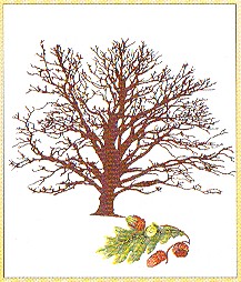 Oak Tree Kit