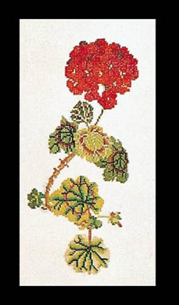 Geranium Kit