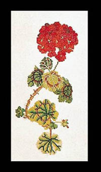 Geranium Kit