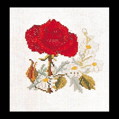 Rose Kit