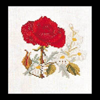 Rose Kit