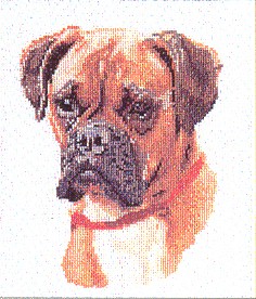 Boxer Dog Portrait Kit