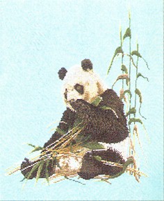 Panda Bear Kit