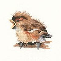 Little Friends - Little Sparrow