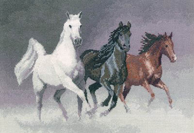 Power & Grace - Wild Horses