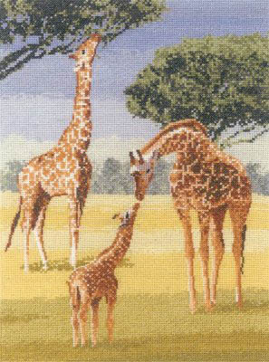 Power & Grace - Giraffes