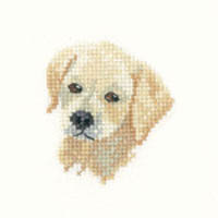Little Friends - Golden Labrador Puppy