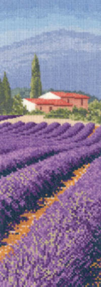 Internationals - Lavender Fields