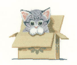 Little Darlings - Cat in Box