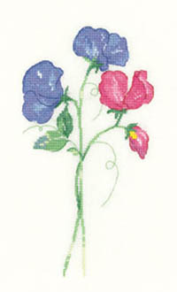 Flowers - Sweet Peas