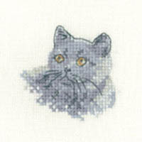 Little Friends - British Blue