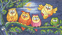 Birds of a Feather - A Hoot of Owls