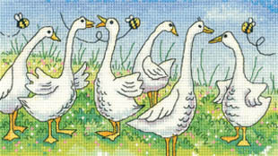 Birds of a Feather - Gossiping Geese