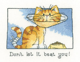 Cats Rule - Don't Let It Beat You