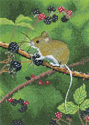 Nigel Artingstall Wildlife - Wood Mouse