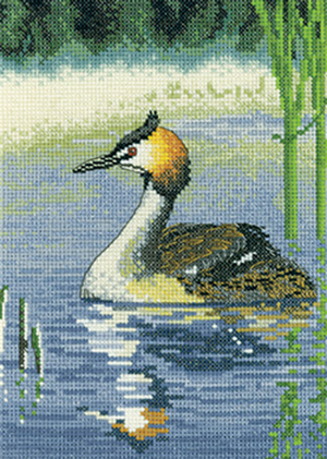 Nigel Artingstall Wildlife - Grebe