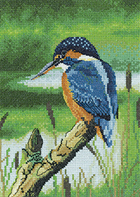 Nigel Artingstall Wildlife - Kingfisher Kit
