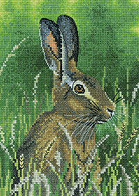 Nigel Artingstall Wildlife - Hare Kit