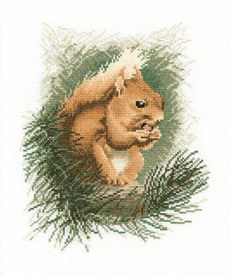 Wildlife Collection - Red Squirrel