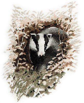 Wildlife Collection - Badger
