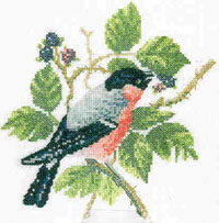 David Merry Collection - Bull-finch