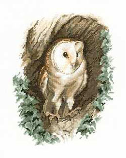 Wildlife Collection - Barn Owl