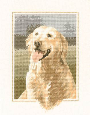 Dog Collection - Golden Retriever
