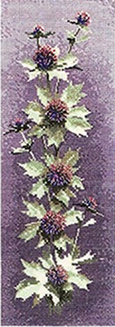 Flower Panels - Sea Holly