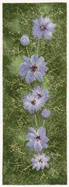 Flower Panels - Love in a Mist