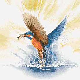 Flights of Fancy - Kingfisher In Flight